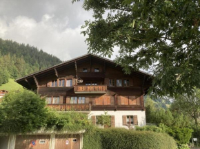 Apartment Akelei - gross by Interhome Zweisimmen